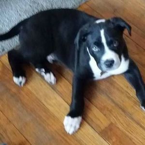 Meet your Posher, Toni